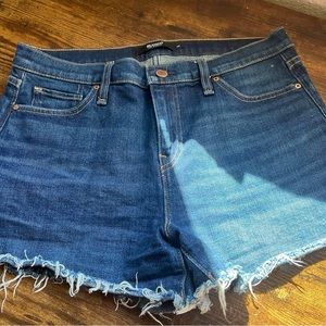 New Hudson Jean Shorts
